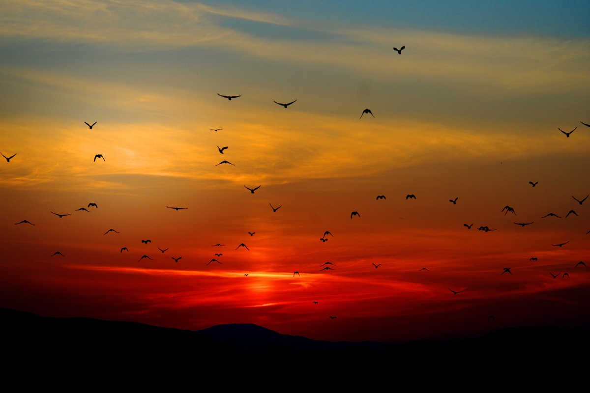 "La hora mágica" para fotografía